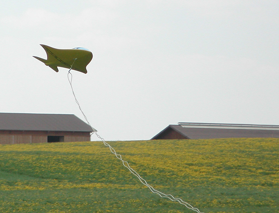 %_tempFileNamesmartfishseil%